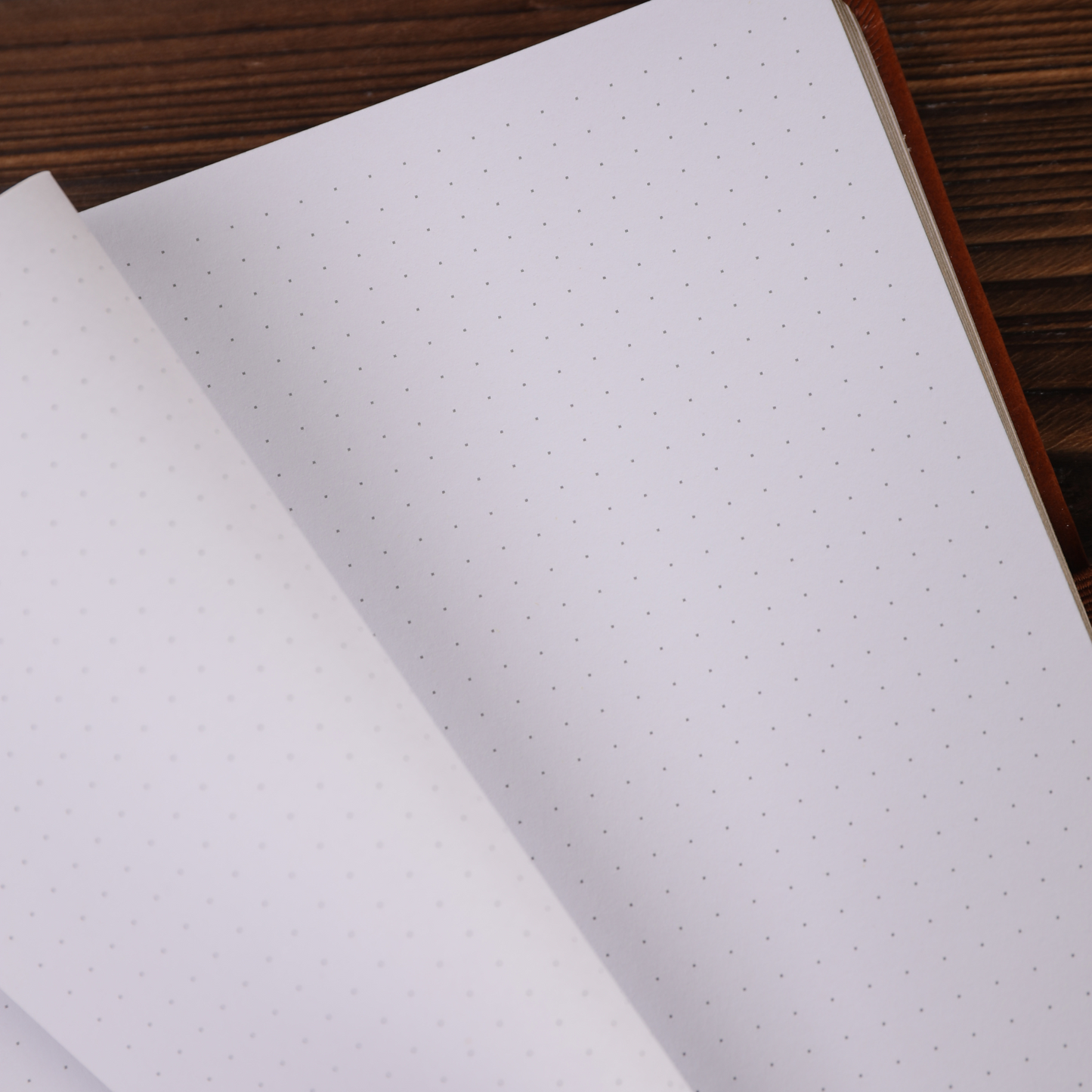 8x8 Square Crane Dot Grid Notebook - Brown