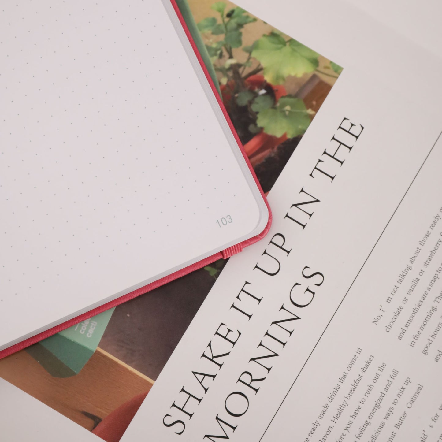 A5 Hummingbird Dot Grid Notebook