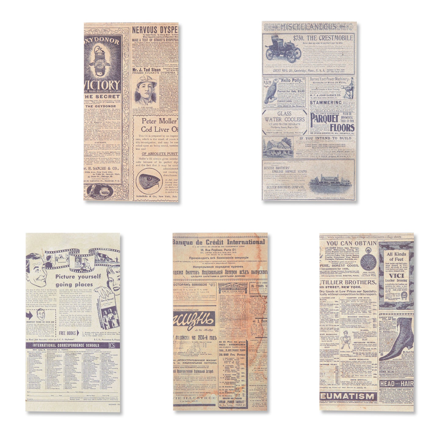 Antique Bookstore Scrapbook Paper - The Weekend Edition - 60 Sheets