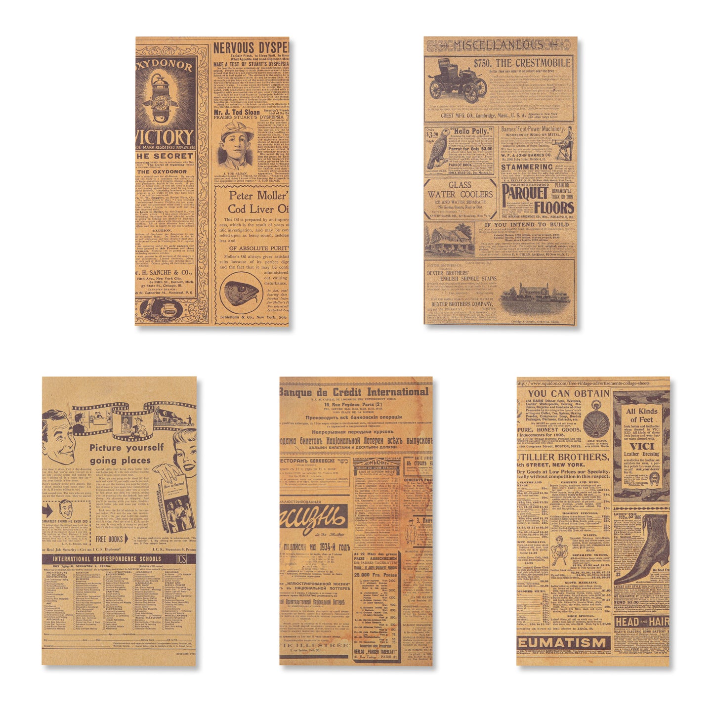 Antique Bookstore Scrapbook Paper - The Weekend Edition - 60 Sheets
