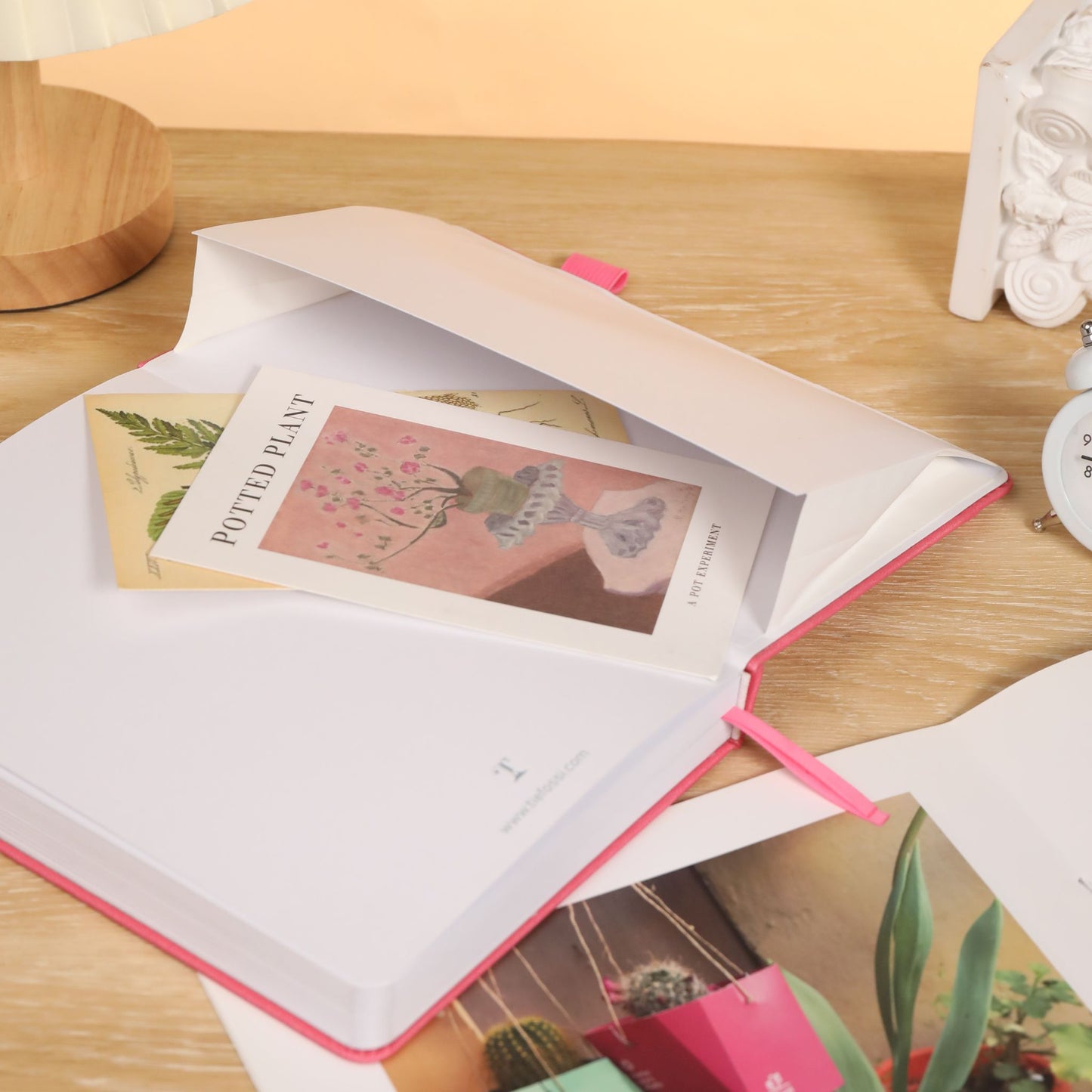 A5 Hummingbird Dot Grid Notebook