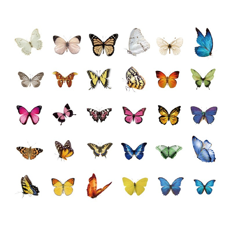 Butterfly Stickers - 60 Pcs