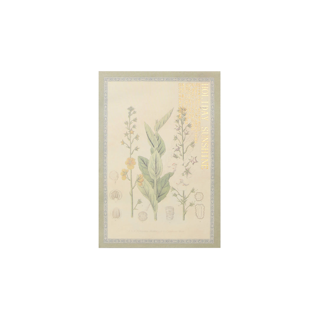 Diary of Old Times Gilded Collage Book - Flowers - 36 Sheets