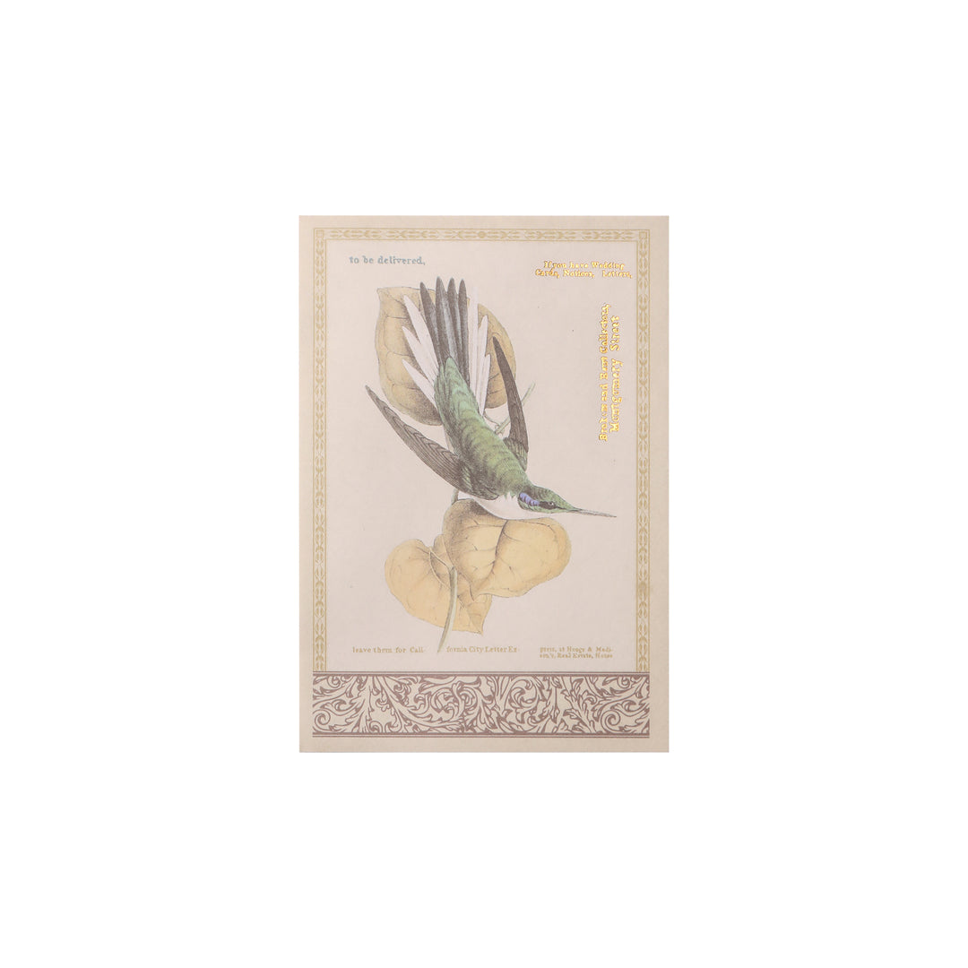 Diary of Old Times Gilded Collage Book - Flowers and Birds - 36 Sheets