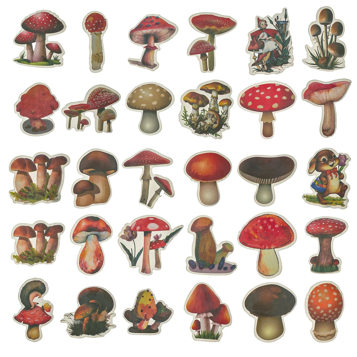 Forest Mushroom Stickers - 60 Pcs