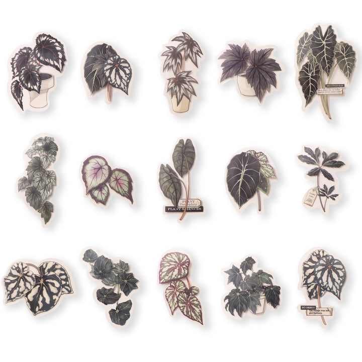 Green Plant Research Centre Stickers - 120 Pcs