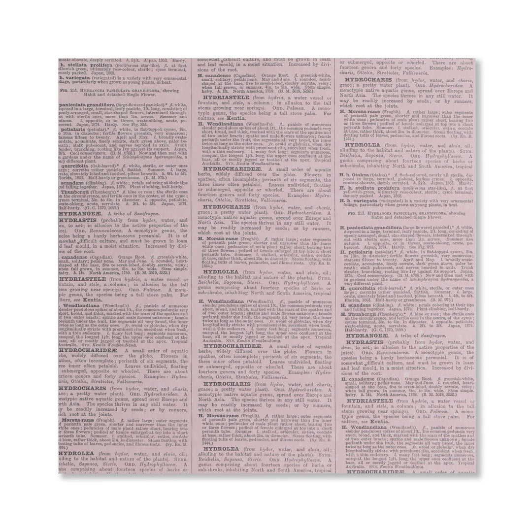 Hydrangea Scrapbook Paper - 12 Sheets