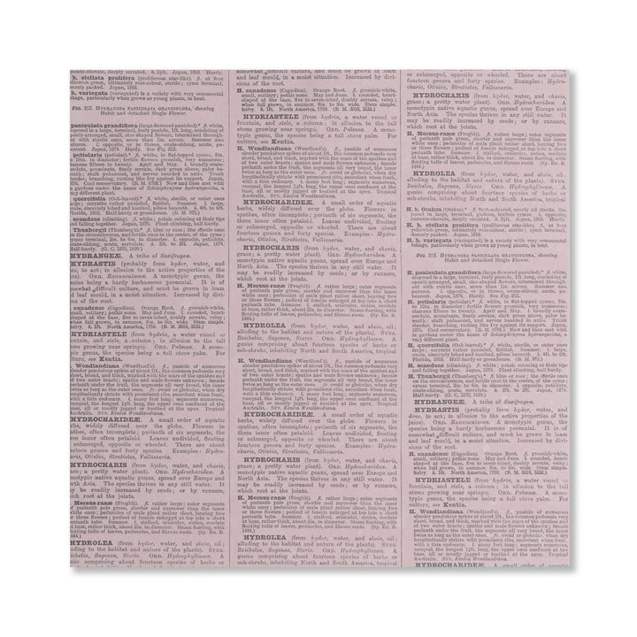 Hydrangea Scrapbook Paper - 12 Sheets
