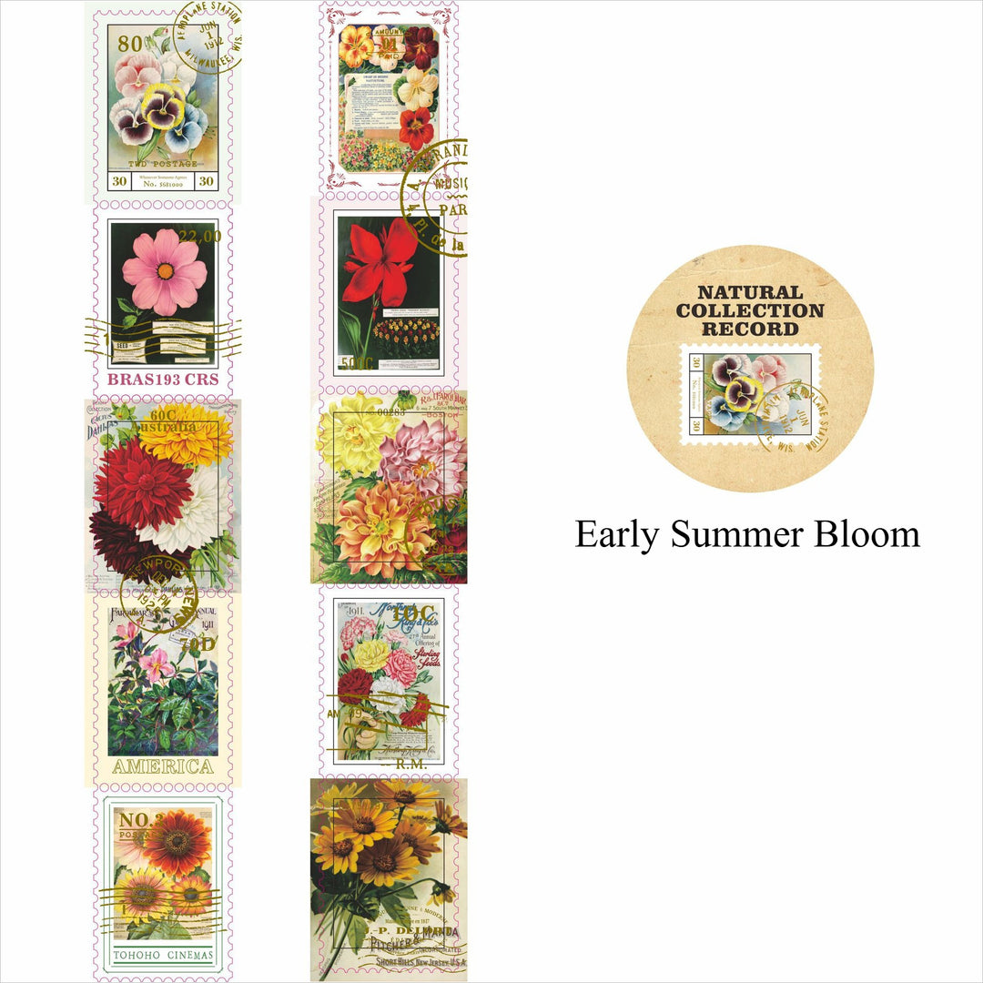 Stamp Museum Vintage Washi Tape
