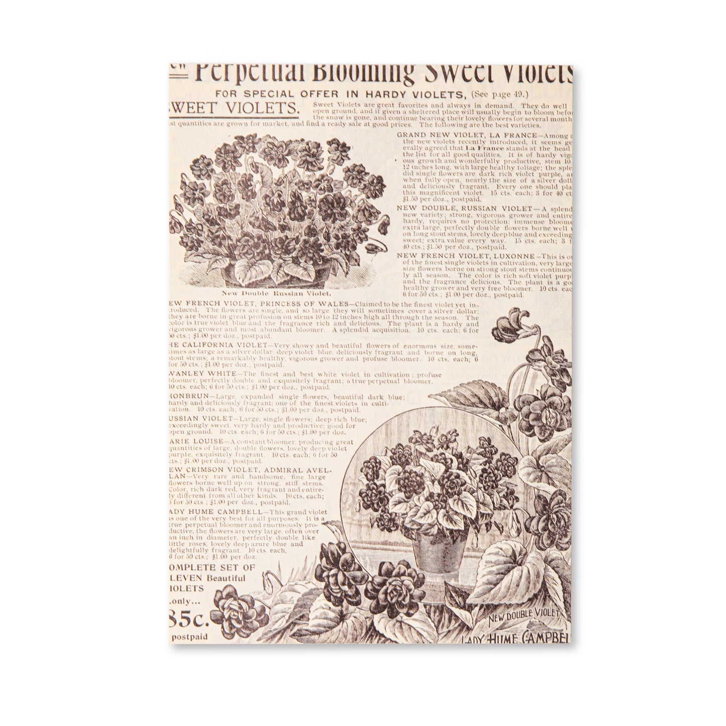 Vintage Scrapbooking Paper Pad - Floral - 30 Sheets