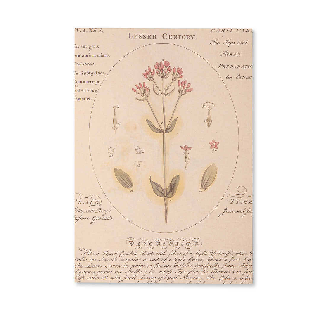 Vintage Scrapbook Paper Pad - Flowers- 30 Sheets