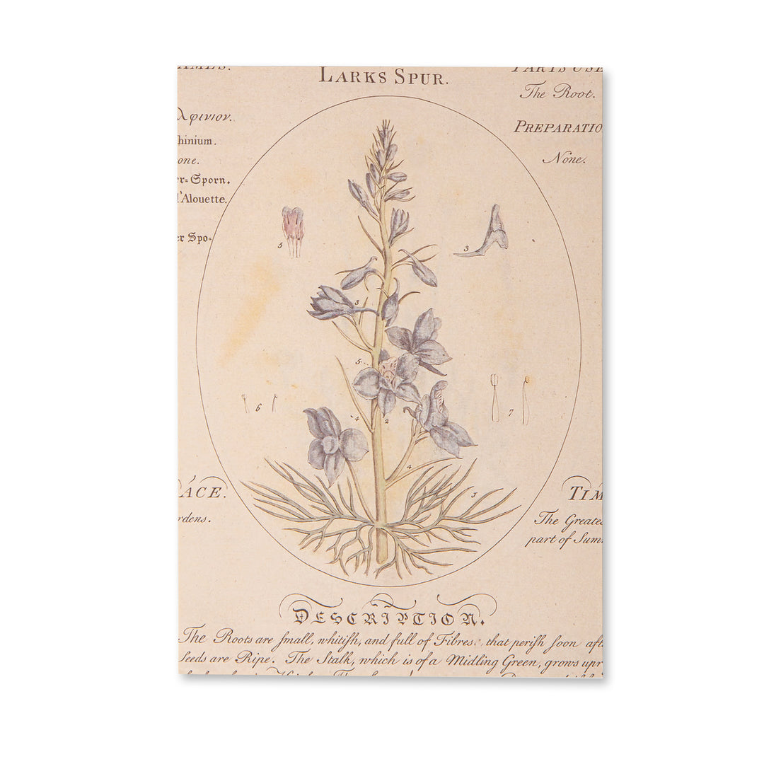 Vintage Scrapbook Paper Pad - Flowers- 30 Sheets