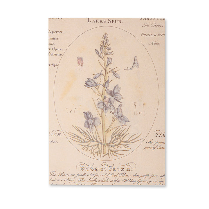 Vintage Scrapbook Paper Pad - Flowers- 30 Sheets