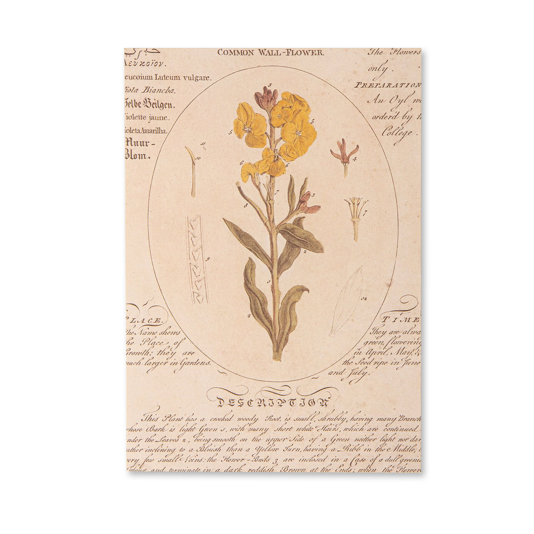 Vintage Scrapbook Paper Pad - Flowers- 30 Sheets