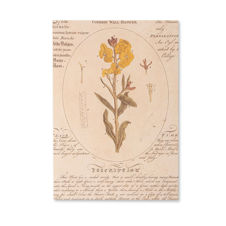 Vintage Scrapbook Paper Pad - Flowers- 30 Sheets