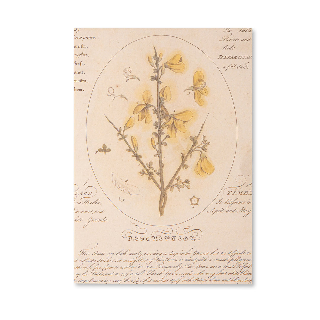 Vintage Scrapbook Paper Pad - Flowers- 30 Sheets
