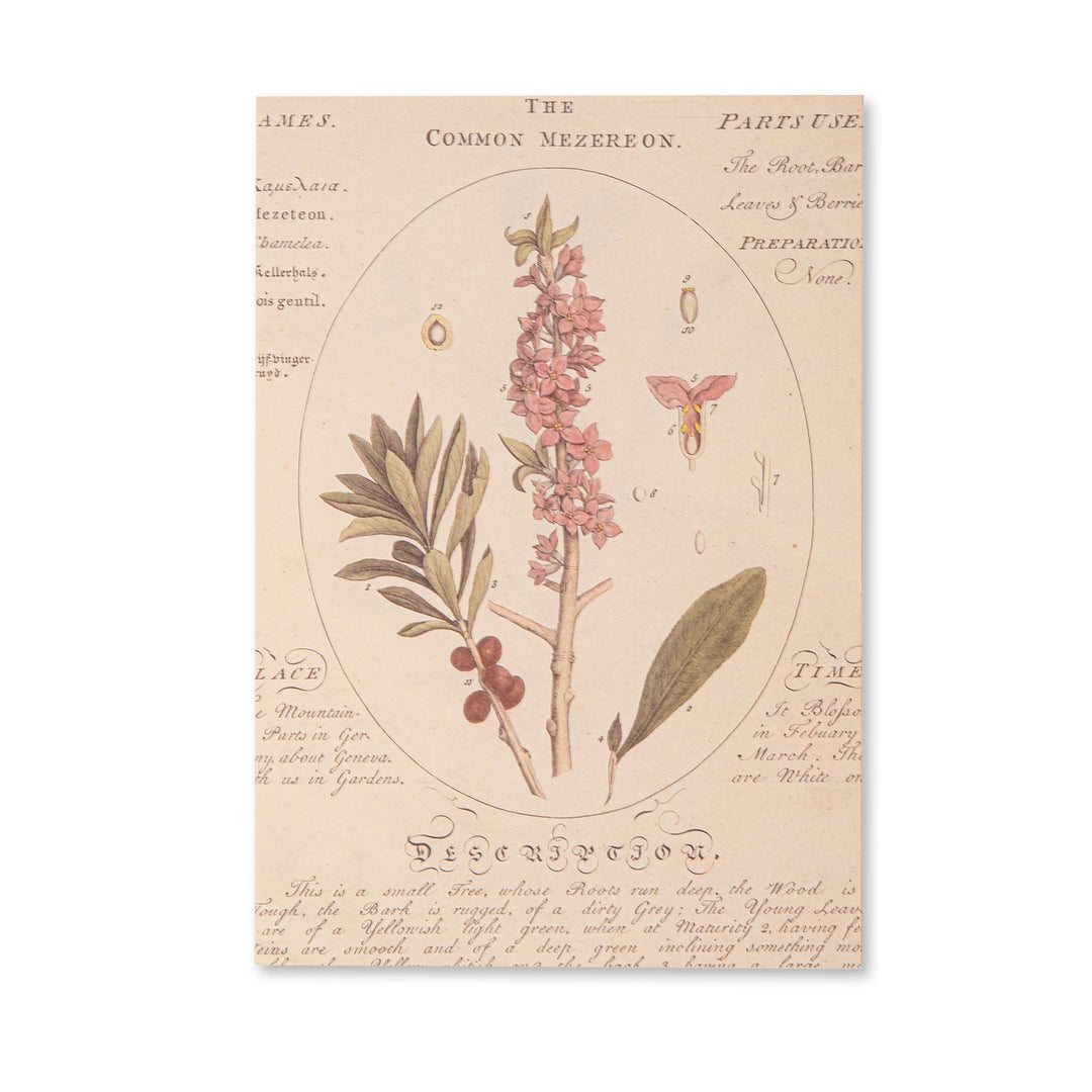 Vintage Scrapbook Paper Pad - Flowers- 30 Sheets