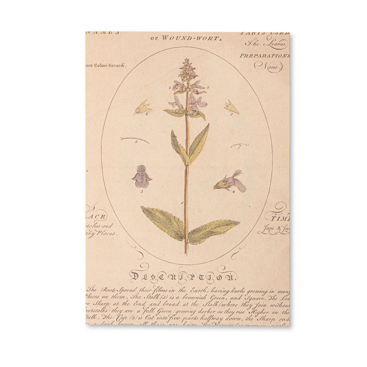 Vintage Scrapbook Paper Pad - Flowers- 30 Sheets