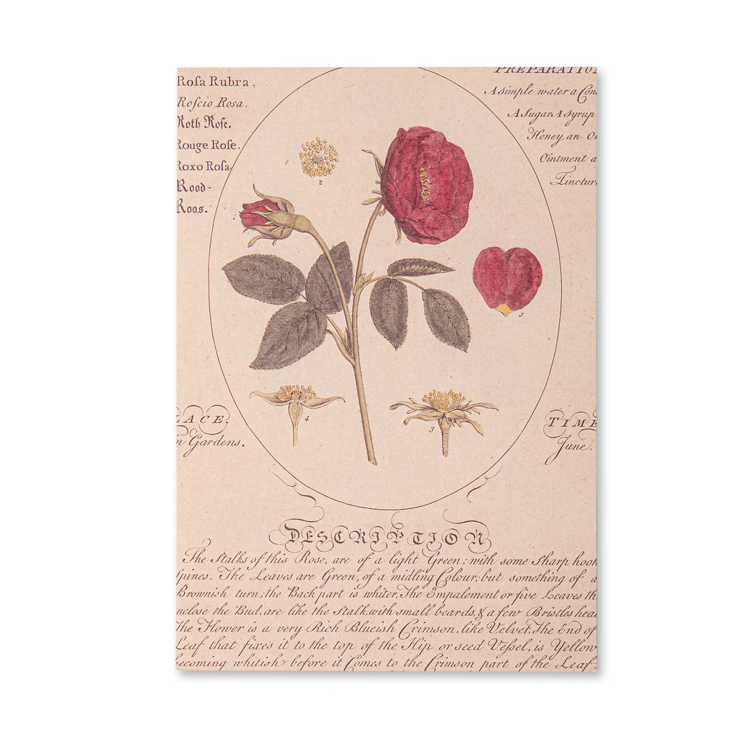 Vintage Scrapbook Paper Pad - Flowers- 30 Sheets