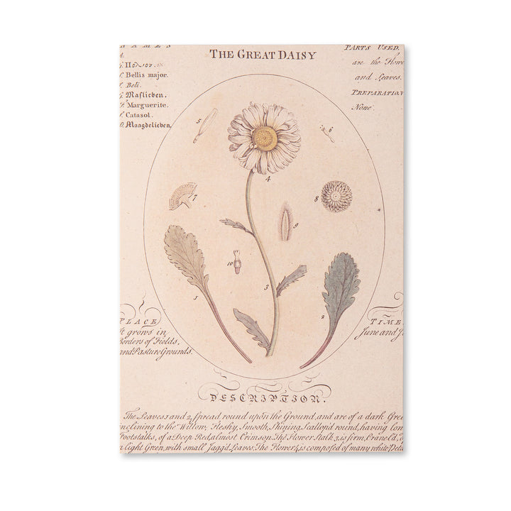 Vintage Scrapbook Paper Pad - Flowers- 30 Sheets