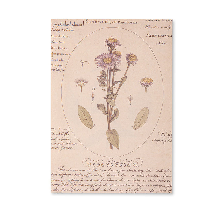 Vintage Scrapbook Paper Pad - Flowers- 30 Sheets